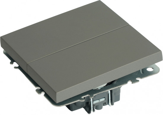 Переключатель двухклавишный RSW10-5107-10