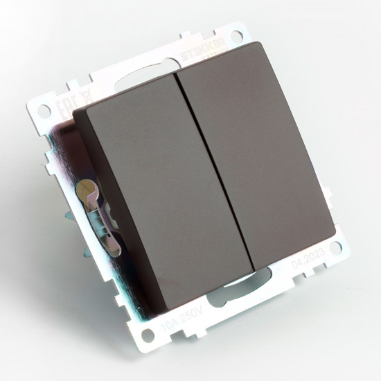 Переключатель двухклавишный GLS10-7107-04