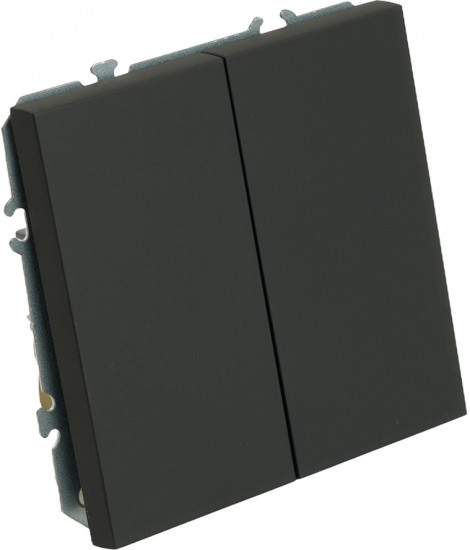 Переключатель двухклавишный RSW10-5107-05