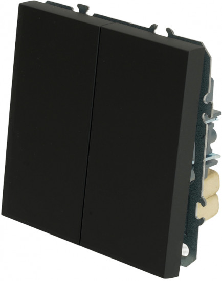 Переключатель двухклавишный RSW10-5107-05