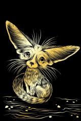 Гравюра «Ушастый фенек» - Фото 1