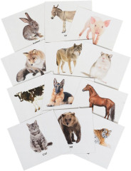 Животные. Мои первые английские слова - Фото 1