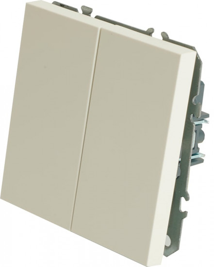 Выключатель двухклавишный RSW10-5104-01