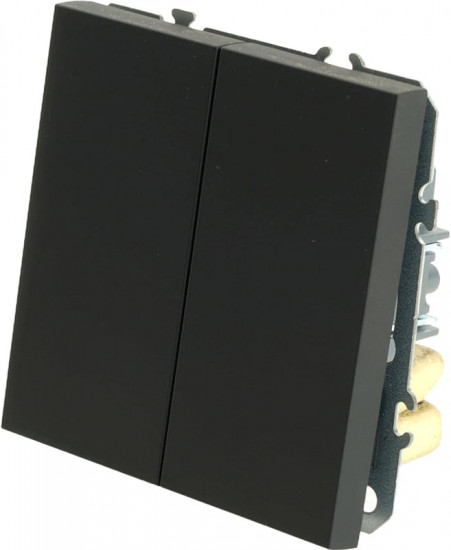 Выключатель двухклавишный RSW10-5104-05