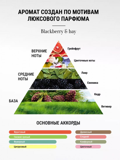 Соль для ванны парфюмированная «Blackberry & Bay»