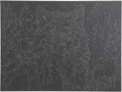 Картина по номерам «Волк» - Фото 3