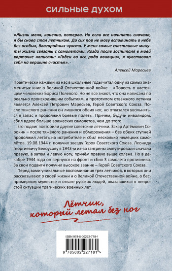 В небе над Курском. Реальный герой «Повести о настоящем человеке»