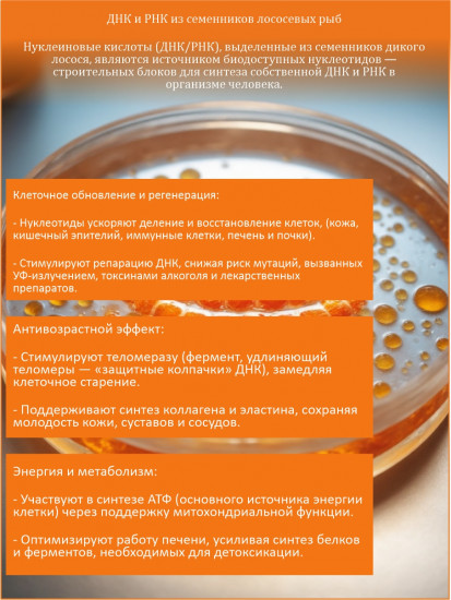 ДНК и РНК семенника рыбы лосося с фукоиданом