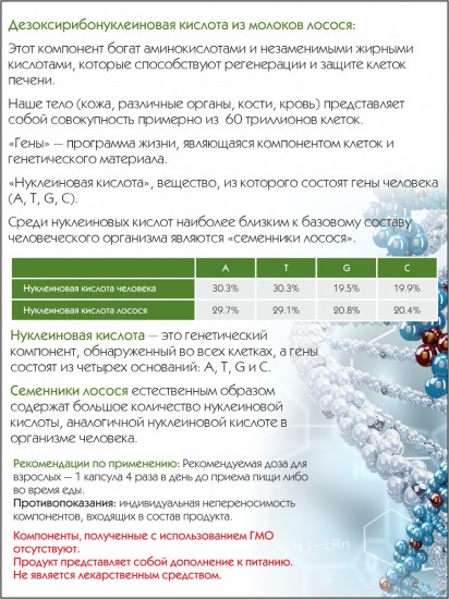 ДНК и РНК семенника рыбы лосося с фукоиданом