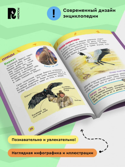 Дикие животные. Энциклопедия для детского сада