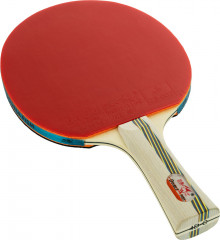 Ракетка для настольного тенниса с чехлом «4D-C» - Фото 5