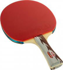 Ракетка для настольного тенниса с чехлом «5D-C» - Фото 5