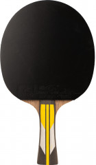 Набор для настольного тенниса профессиональный «6A+C» - Фото 4