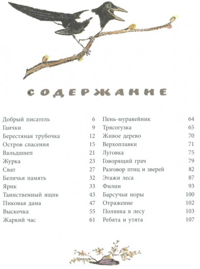 Берестяная трубочка