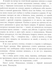 Берестяная трубочка - Фото 6