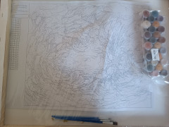 Картина по номерам «Тигр» - Фото 1