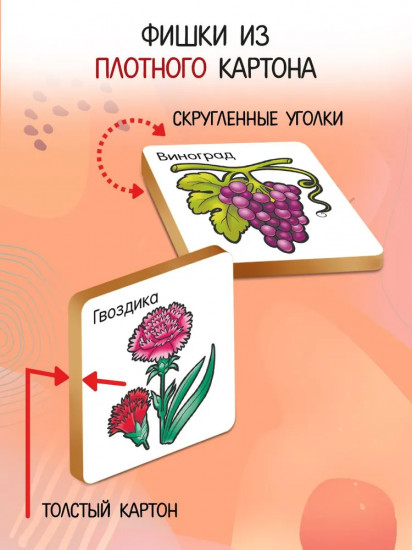Лото развивающее «Азбука животных. Азбука растений»