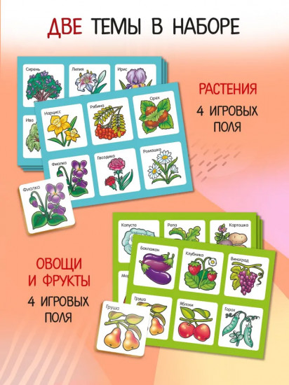 Лото развивающее «Азбука животных. Азбука растений»