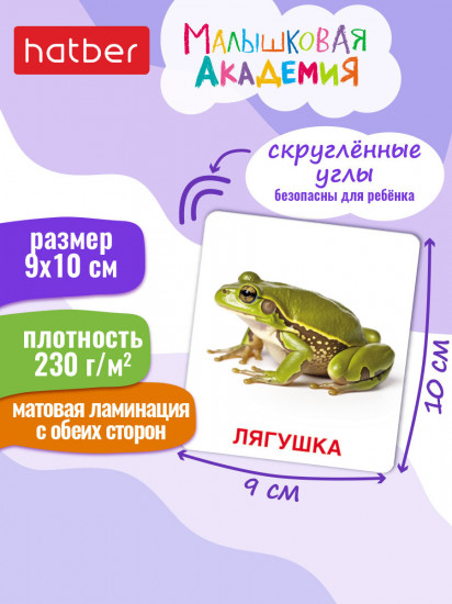 Игра обучающая «Животный мир»