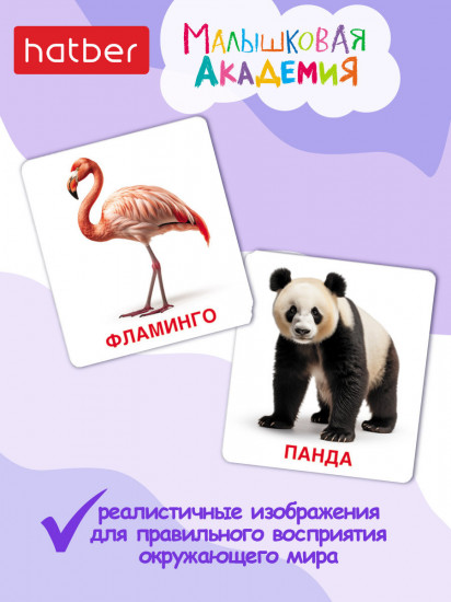Игра обучающая «Животный мир»
