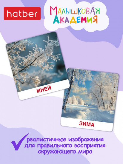 Игра обучающая «Окружающий мир»
