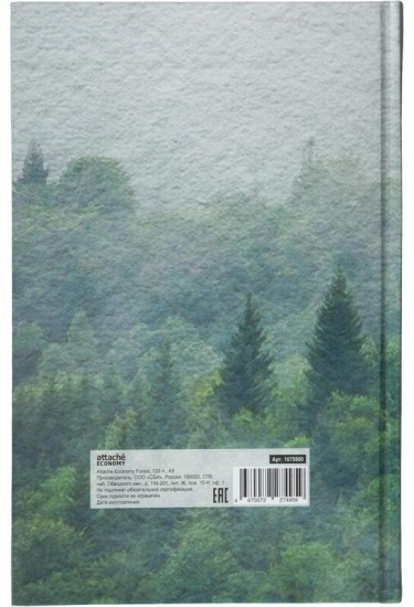 Бизнес-тетрадь «Forest»