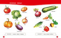 Книга для запуска и развития речи малыша - Фото 6