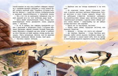 Птицы. Детская энциклопедия - Фото 7