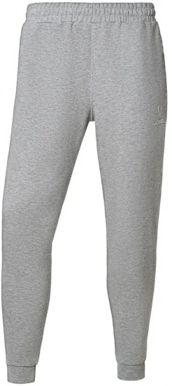 Брюки мужские спортивные «Athlete Pants»