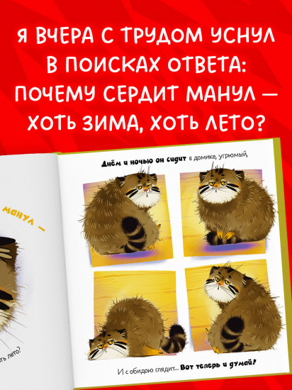 Почему сердит манул?