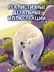 Белый медвежонок. Приключения в Арктике - Фото 3