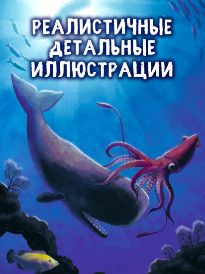 Маленький кит. Приключения в океане