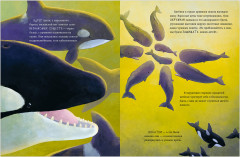 Маленький кит. Приключения в океане - Фото 11