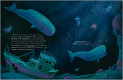 Маленький кит. Приключения в океане - Фото 14