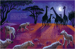 Малышка жираф. Приключения в саванне - Фото 12