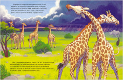 Малышка жираф. Приключения в саванне - Фото 14