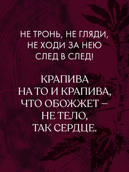 Крапива