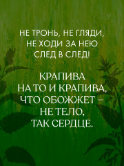 Крапива - Фото 6