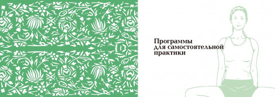 Йога в кармане. Женская практика. Руководство по самостоятельной практике