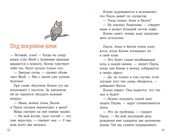 Конни и кража в школе
