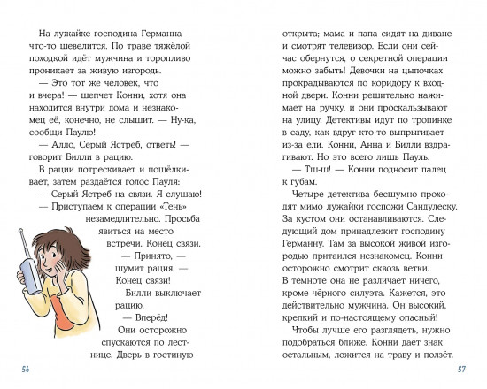 Конни и кража в школе