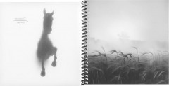 Книжка записная «Конь в тумане» - Фото 1