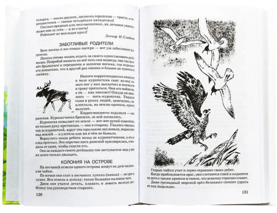 Лесная газета