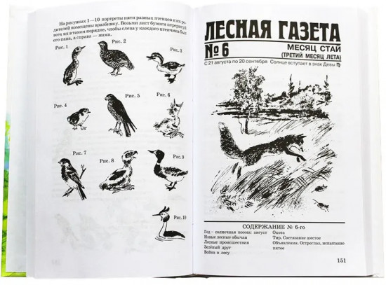 Лесная газета