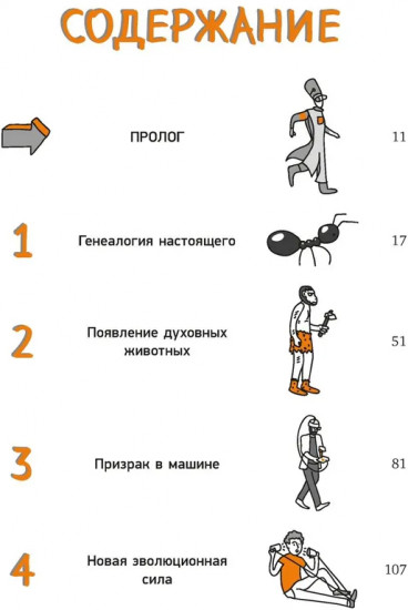 Homo Sapiens. Иллюстрированная история интеллекта