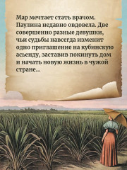 Мастер сахарного дела - Фото 3