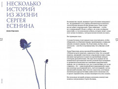 Есенин навсегда. Сборник стихов с современными иллюстрациями - Фото 6