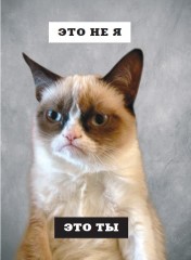 Grumpy Cat. Сердитая книга от самой сердитой кошки в мире - Фото 3