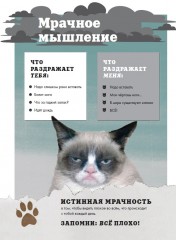Grumpy Cat. Сердитая книга от самой сердитой кошки в мире - Фото 6