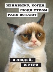 Grumpy Cat. Сердитая книга от самой сердитой кошки в мире - Фото 8
